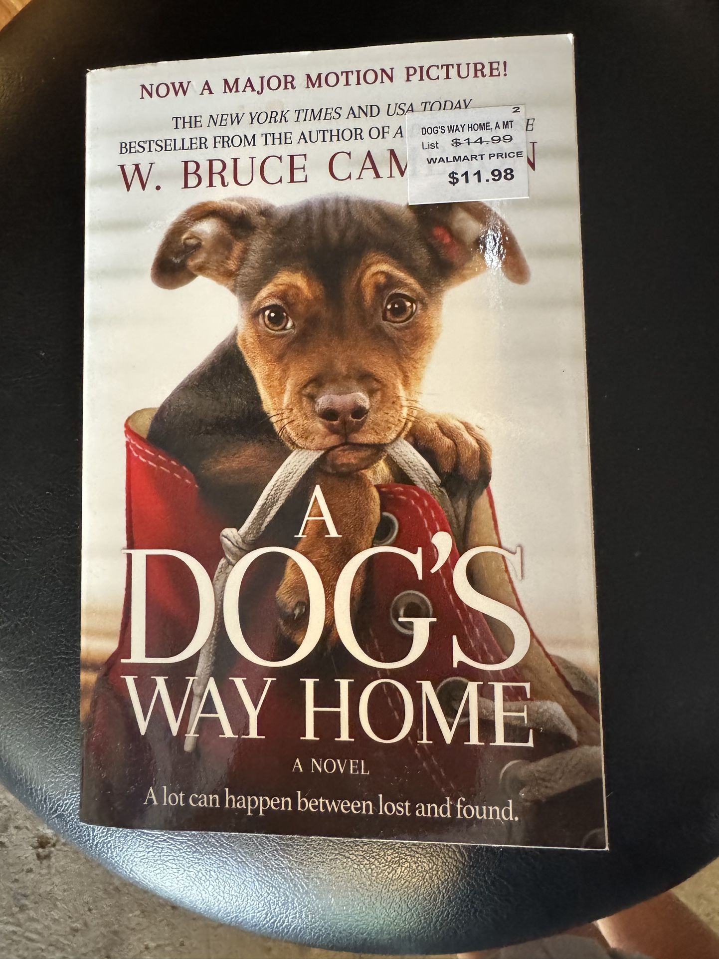 A Dogs Way Home Book