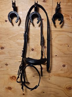 Horse Bridle