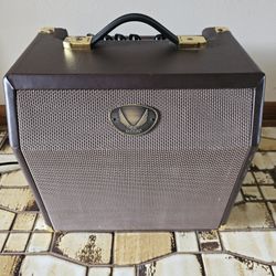 Dean DA15C 15 Watt Acoustic Guitar Amplifier W/chorus 