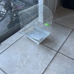 One Bird Cage Clean 