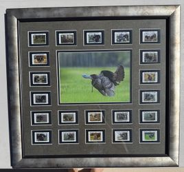 NWTF Wild Turkey $5 Stamp Collection 1(contact info removed) Framed 21 Stamps Wildlife
