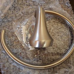 Moen Eva 18" Grab Bar and Hand Towel Ring