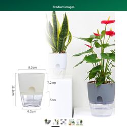 Self Watering Pots 