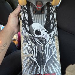 Tony Hawk Birdhouse Vintage Skateboard