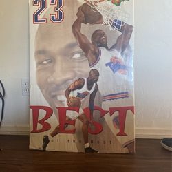 Michael Jordan Space Jam Poster 