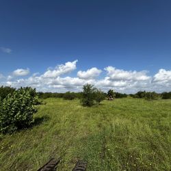 Grass Cutting For Sale