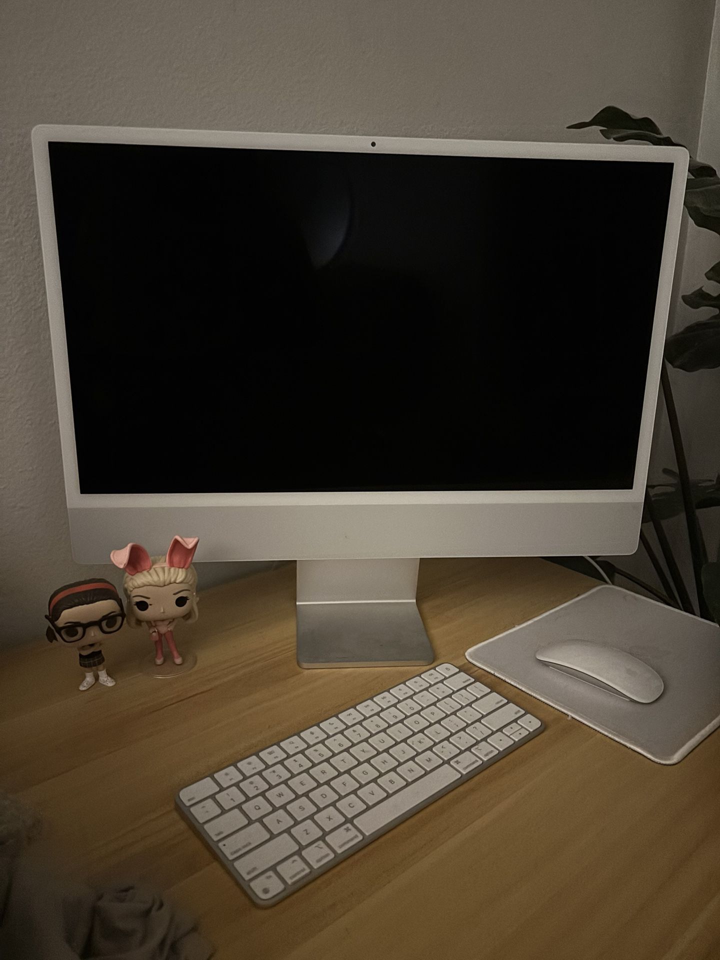 Apple desktop 24"