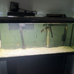 Fish Tank 55 Gallon