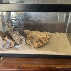 Pet Reptile Fish Tank