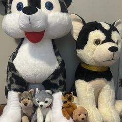 Stuffed Animals 