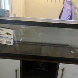 20 Gallon Long Tank With Lid