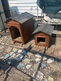 Dog house pair