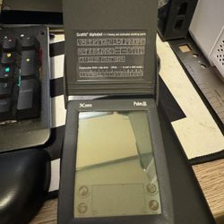 Palm III