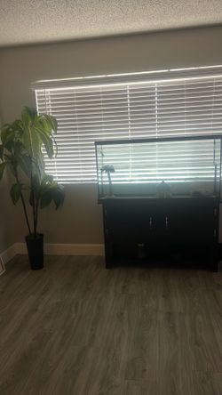 50 gallon fish tank must go