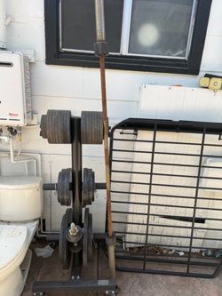 Weight Plate Tree with Plates and Dumbbells