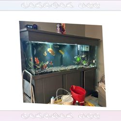 similar special High-Quality Aquarium System - Premium Standard Choice