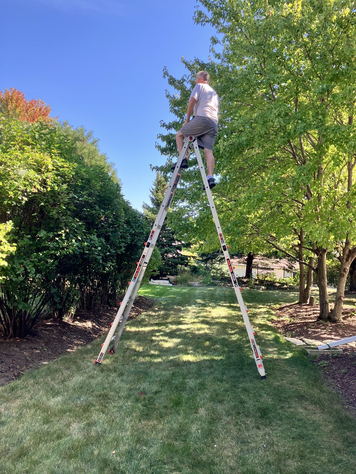 Little Giant 26’ Ladder