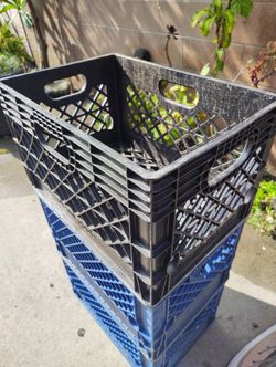 Plastic Crate