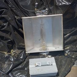 Grow Light And Blalis With Bulb