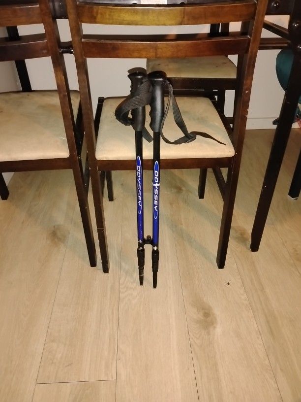 Odyssey Trekking Poles