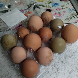 Eggs