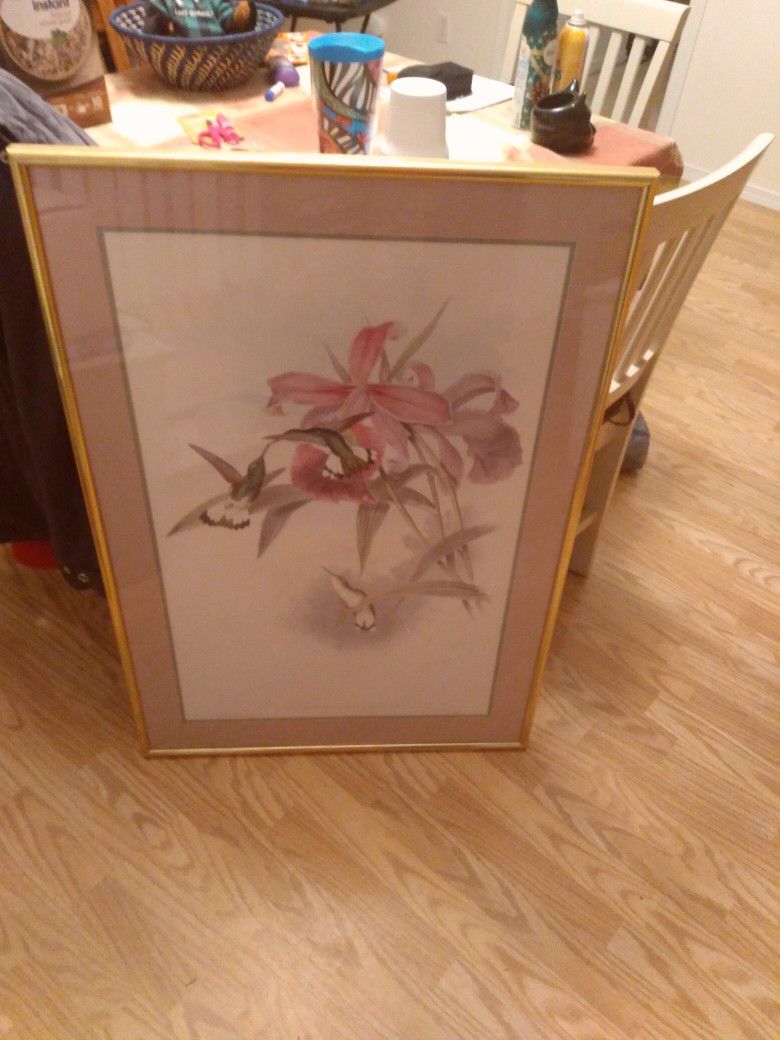 Beautiful Humming Bird Picture matted In Gold Frame  And Plexyglass..Free Free Come Get It No Room For It.!!!.