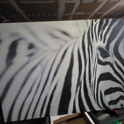 Zebra Canvas Print 