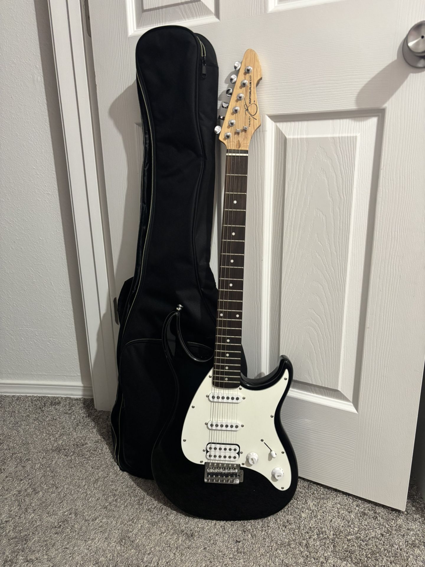 Peavey Electric Guitar And Soft Case