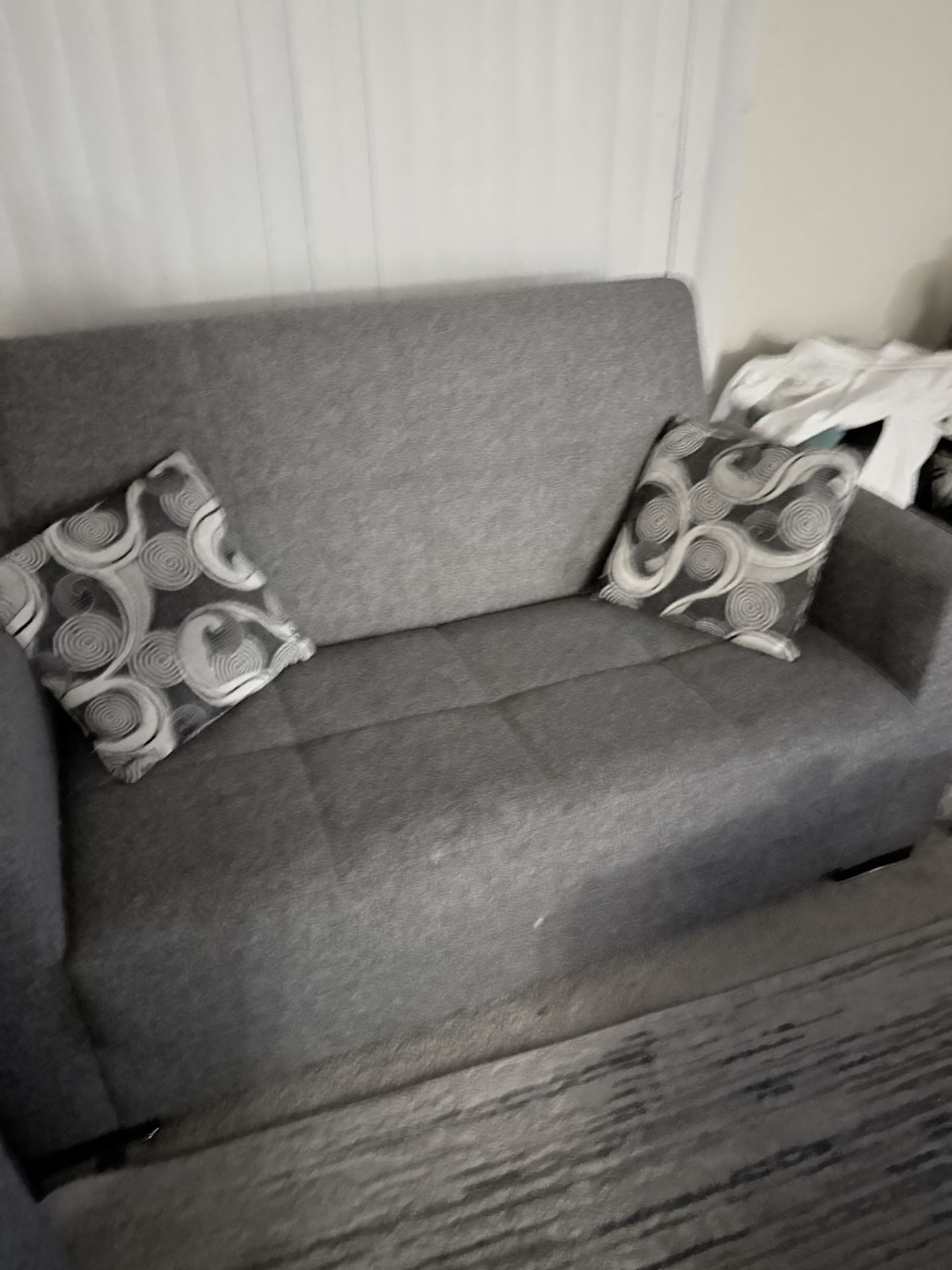 small Couch/Sleeper