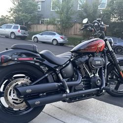 2023 Harley Davidson Street Bob