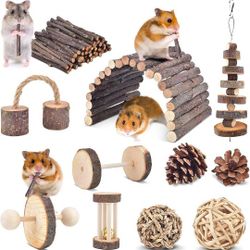 11 Pack Chinchillas Chew Toys, Toys Accessories for Teeth Care, Natural Apple Wood Ladder Bell Roller for Russian Hamster Gerbils Rats Guinea 8Pigs