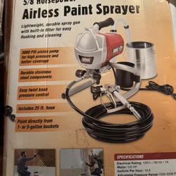 Paint Sprayer 