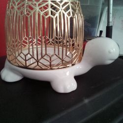 Turtle Plant Holder