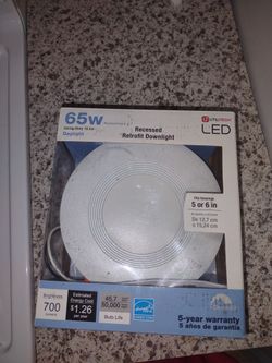 Utilitech LED Light