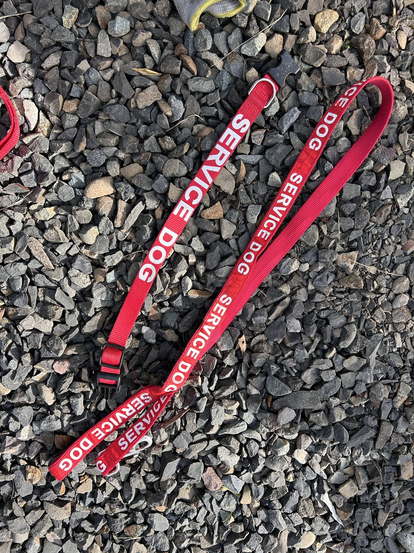 Dog Leash And Collar Service Dog 