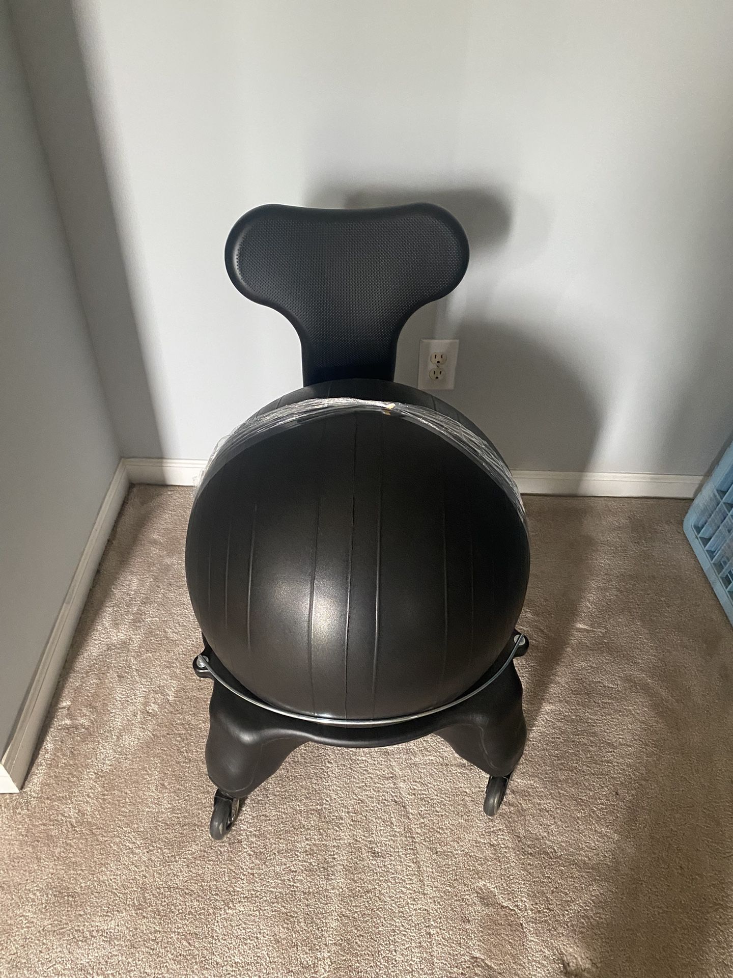 Exercise Ball