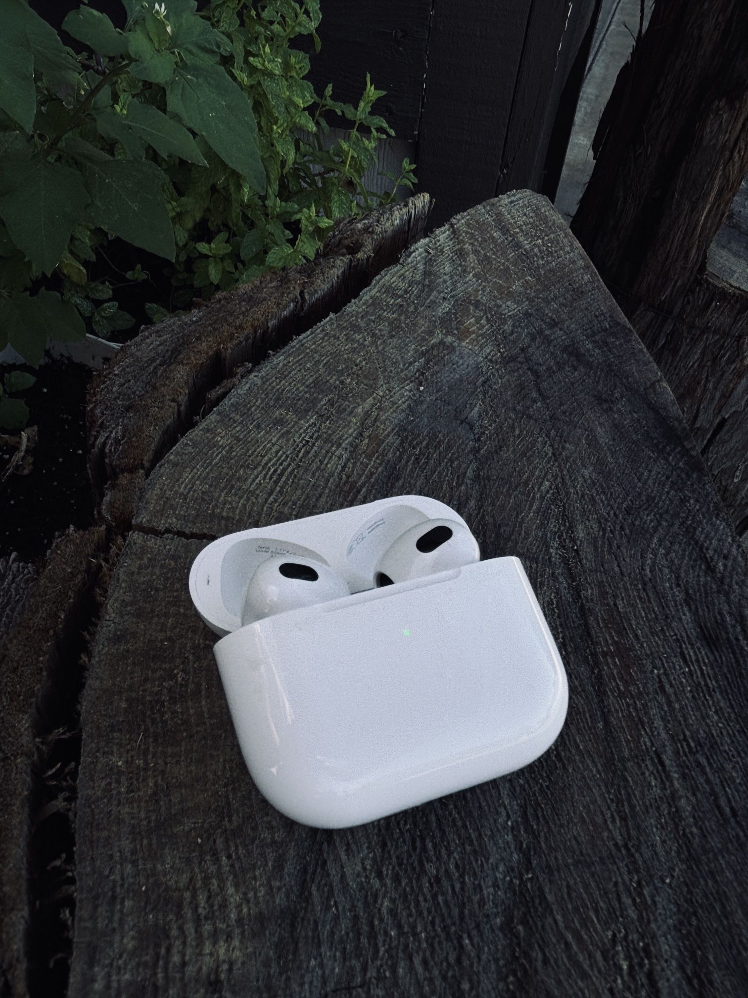 iphone earpods