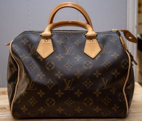 Luxury Handbag-see description