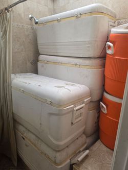 Ice Chest 23.5 Gallons