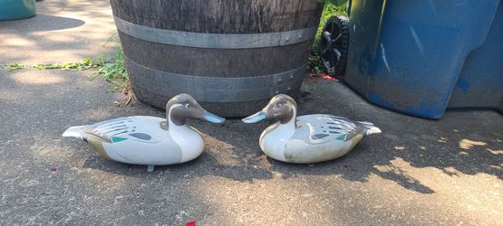 2 Duck Decoys