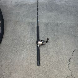 Penn 5’5” Fish Pole And Penn Reel FORMULA 15kg