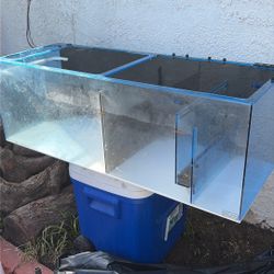 Trigger systems Sump