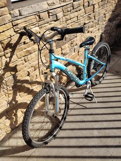 Schwinn ranger 24"