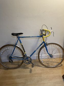 1970 Raleigh Road Bike