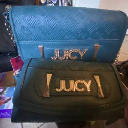 Matching Juicy Purse And Wallet Brand New 