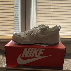 Nike C1TY Pure Platinum