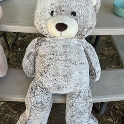 Teddy Bear 15$ Great Condition Large SIZE - Firmed Price 