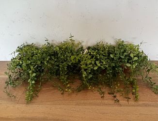 Artificial Button Leaf Trailing Plant (6) NWT