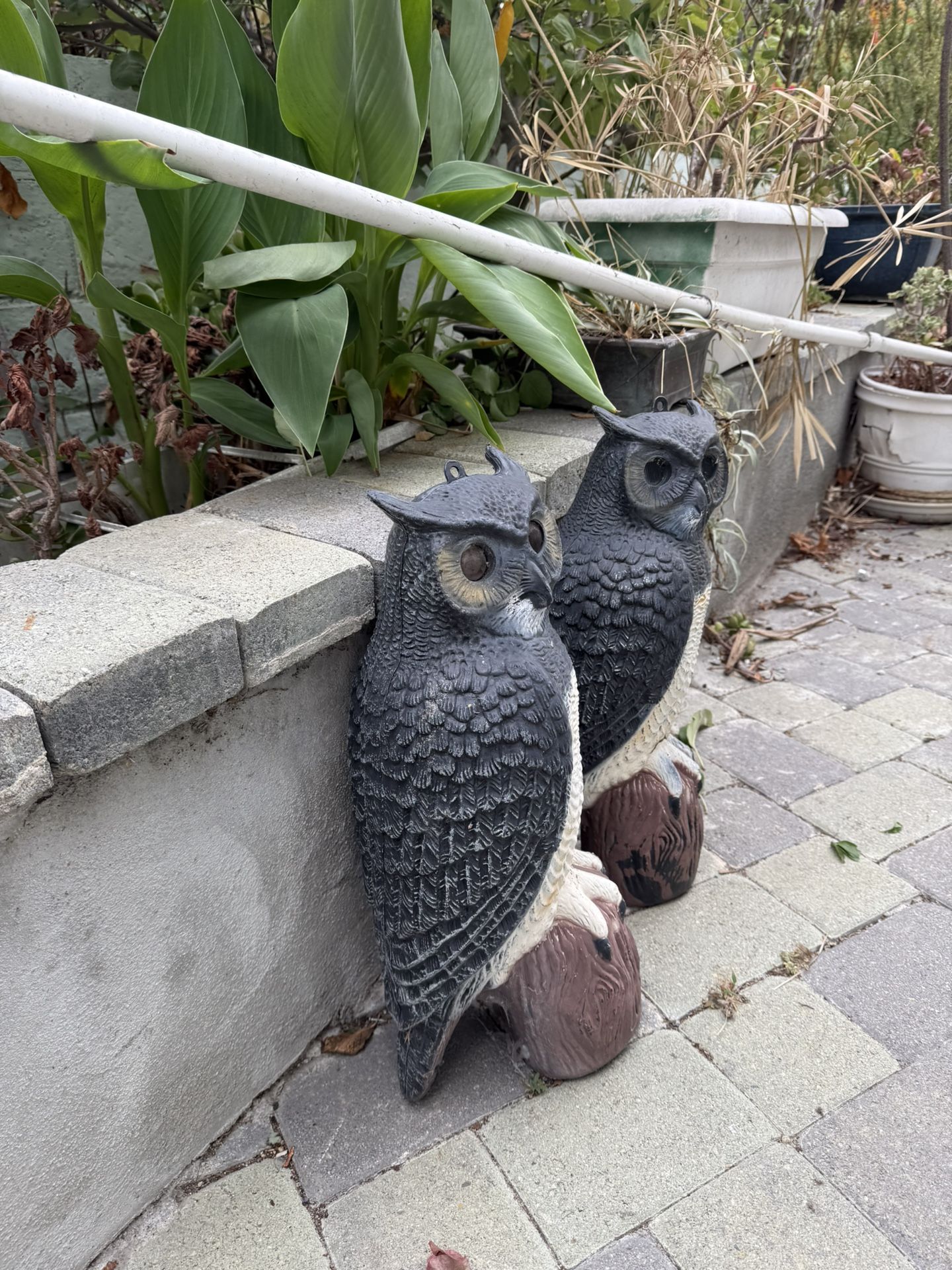 Decorative Owl Ornaments