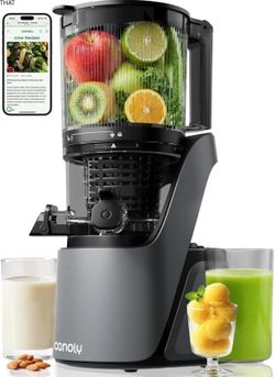 Canoly C16 Cold Press Juicer,6"Extra Wide Feed Chute,3-IN-1 Strainers,Space Gray